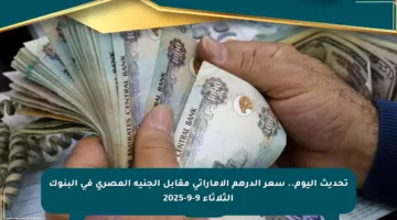 تحديث اليوم.. سعر الدرهم الإماراتي مقابل الجنيه المصري في البنوك الثلاثاء 9-9-2025